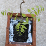 Le bac à fleur fini