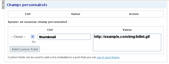 utilisation champ personnalisé sous wordpress