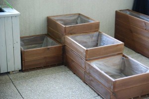 DSC_7731_modulable